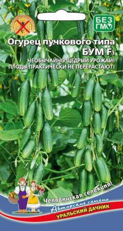 ogurec-puchkovogo-tipa-bum-f1