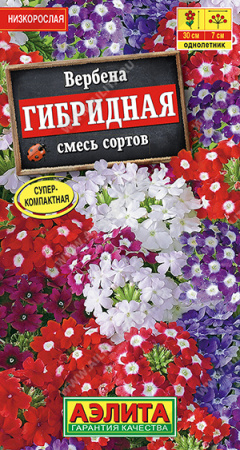 Вербена гибридная смесь аэлита