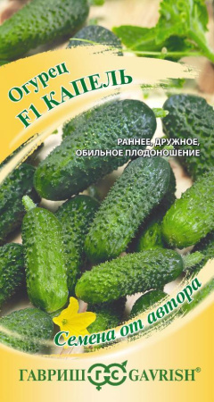 Огурец Капель гавриш