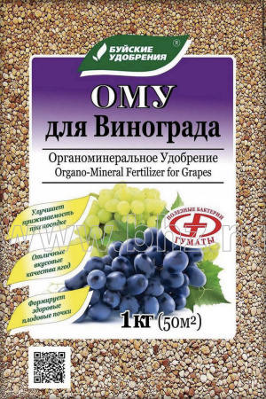 IMG-0104