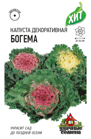 Капуста декоративная Богема гавриш