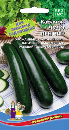 kabachok-chudo-lentyaya
