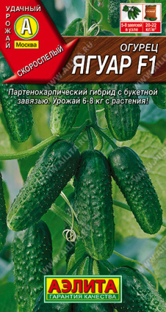 Ягуар