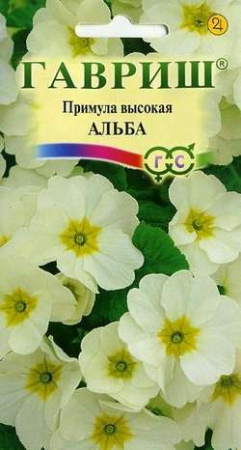 1877