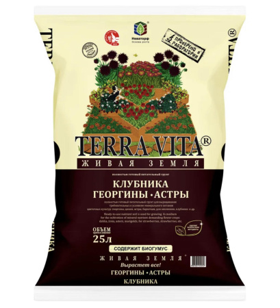 георгина25