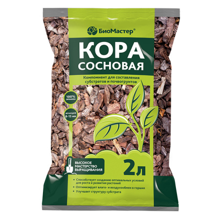 kora-sosnovaya