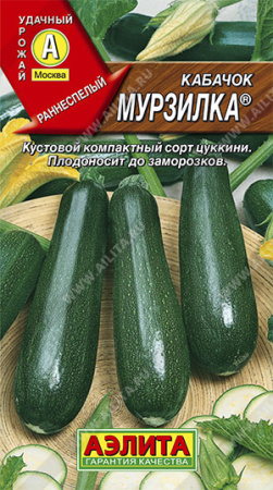 569348