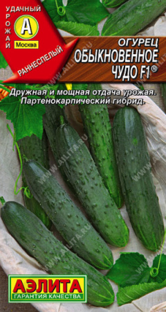 Обыкновенное чудо