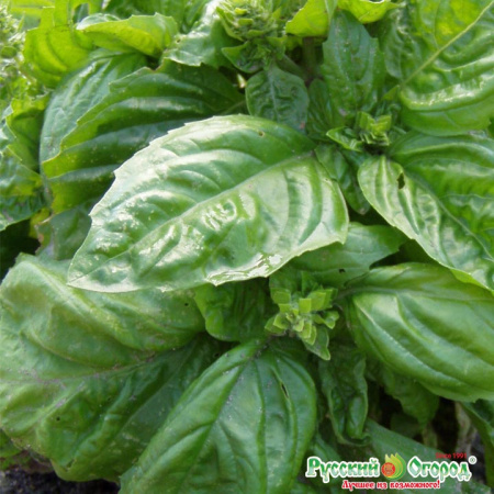 c0eceda9ad60cd2b98f84261fc8db4ef