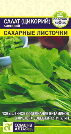 цикорный