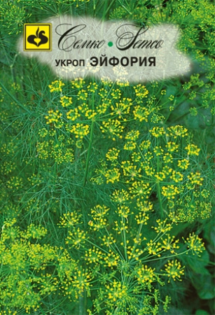 укроп эйфория