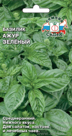 bazilik_azhur_zelenyy