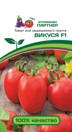 викуся