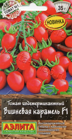 231