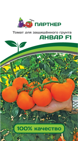 анвар