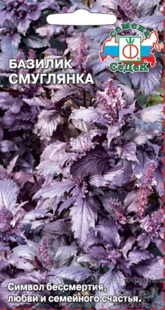 bazilik_smuglyanka