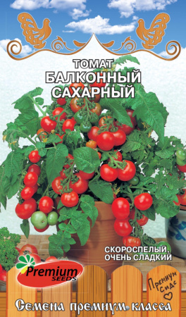 IMG-0926