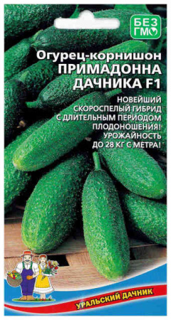 примадонна дачника