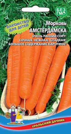 амстер