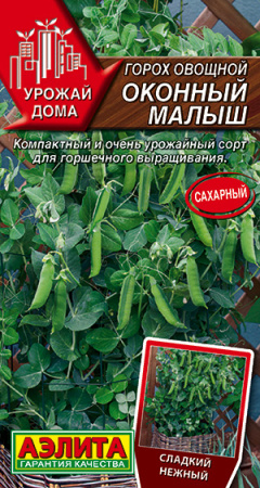 оконный малыш