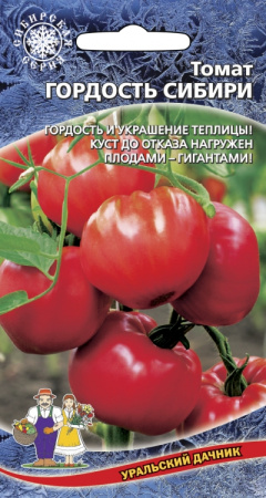 tomat-gordost-sibiri