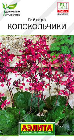 гейхера колокольчики аэлита