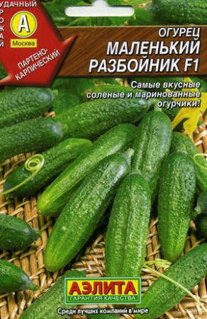 маленький разбойник