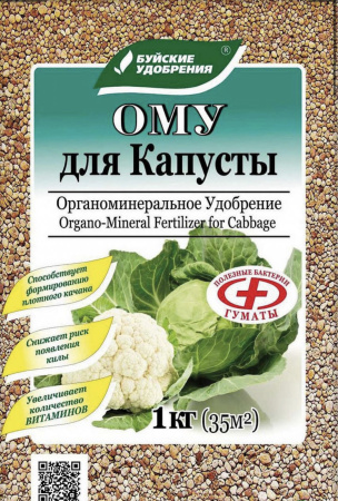IMG-5685
