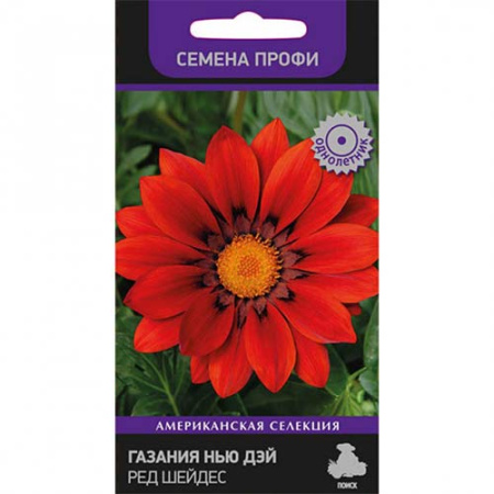 gazaniya-nu-dey-red-sheydes_1