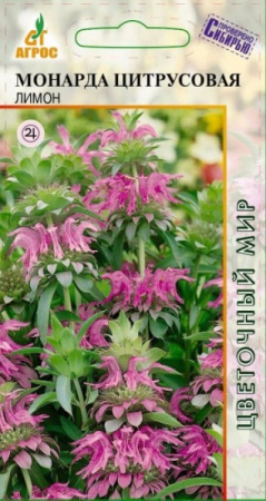 Монарда-цитрусовая-Лимон агрос