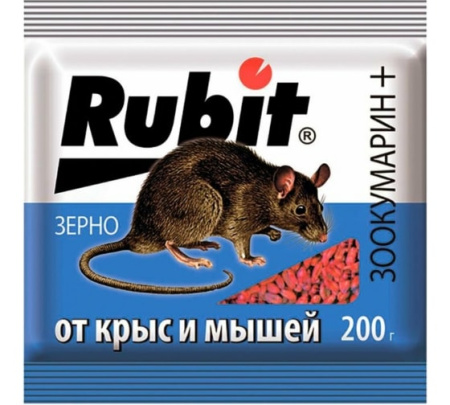 IMG-7241