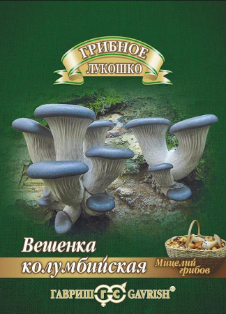 вешенка колумбийская