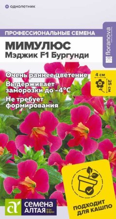 29yxwtbeeg88b7r8g8s15zj1jx65y922