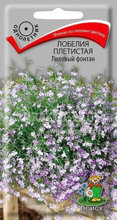 лобелия лиловый фонтан поиск