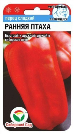 Ранняя птаха