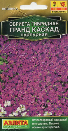 816