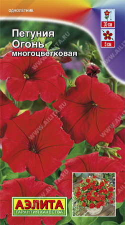 Петуния Огонь аэлита