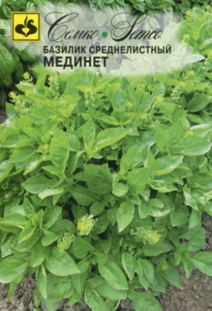 базилик мединет