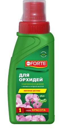 красота орхид