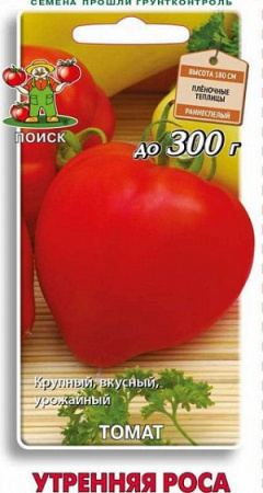 Утренняя роса