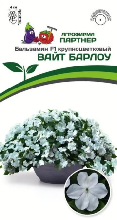 08f390ad1fc99d96434e5d682c7fd6df