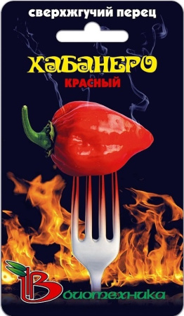 2324