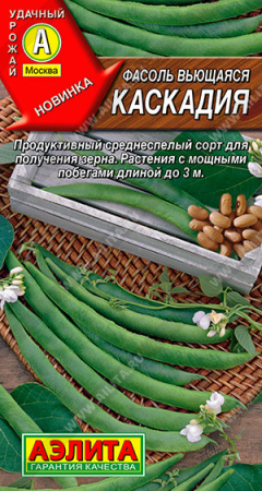 Фасоль вьющаяся Каскадия аэлита