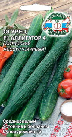 аллигатор 4
