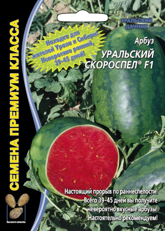 arbuz-uralskiy-skorospel-f1