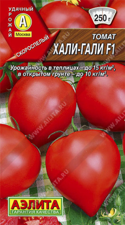 хали-гали