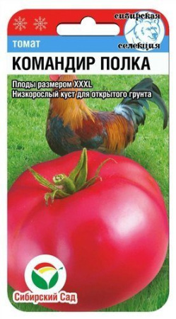 Командир полка
