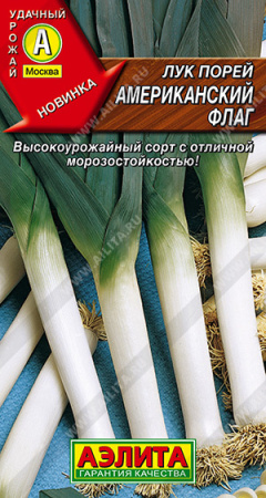 Лук порей Американский флаг аэлита