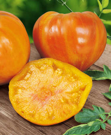 Сладкий янтарь