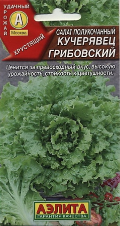 кучерявец грибовский